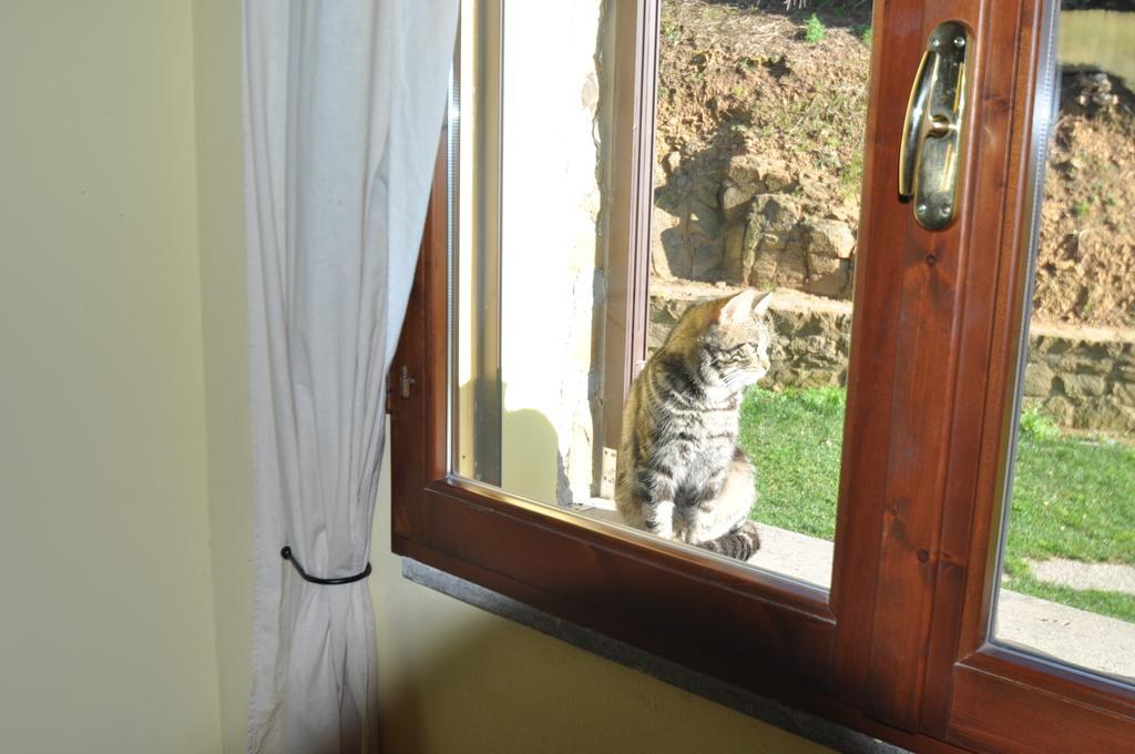 Villa Agriturismo Il Cerrosughero Scarlino Zimmer foto
