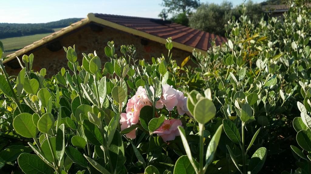 Villa Agriturismo Il Cerrosughero Scarlino Exterior foto